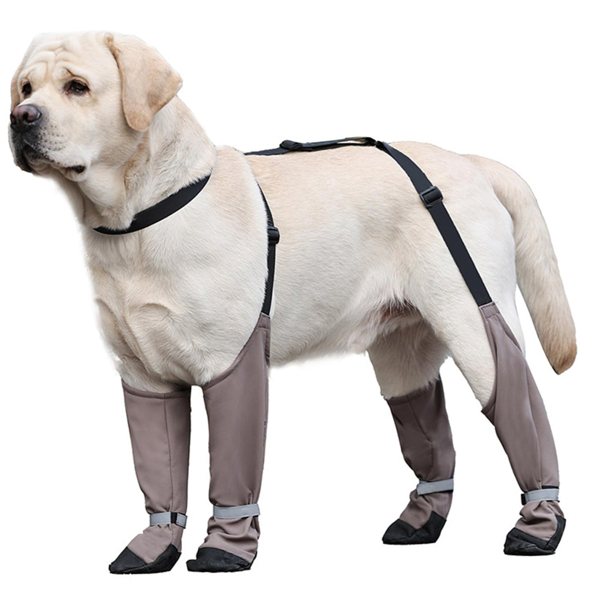 Ckuakiwu Waterproof Dog Shoes Anti-Slip Dog Shoes Reflective Dog Boots & Paw Protectors with Adjustable Straps Dog Booties for Hot Pavement, Hiking, Rainy and Snowy Days, M,Dog Rain Boots