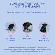 Load image into Gallery viewer, Turmeric Curcumin for Dogs - 90 Soft Chews - with Collagen, BioPerine and Fish Oil - Hip & Joint Support, Ease Inflammation, Antioxidant.
