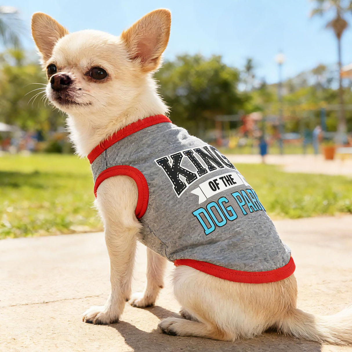 4 Pieces Dog Clothes for Small Dogs Girl Boy Summer Puppy Clothes for Chihuahua Yorkie Soft Cute Pattern Dog Shirt Spring Pet Cat Clothing Pink Rose Red Green XXS~M (Grey,Red,Black,Green, Medium)