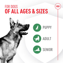 Load image into Gallery viewer, Royal Canin Probiotics for Dogs Digestive and Immune Health Powder Supplement for Dogs of All Ages, 30 Count