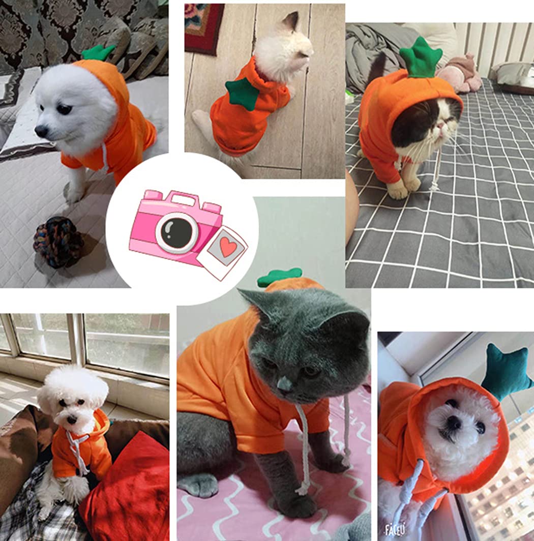XIAOYU Pet Clothes Dog Hoodies Warm Sweatshirt Coat Puppy Autumn Winter Apparel Jumpsuit with Fruit Hood, Carrot, L