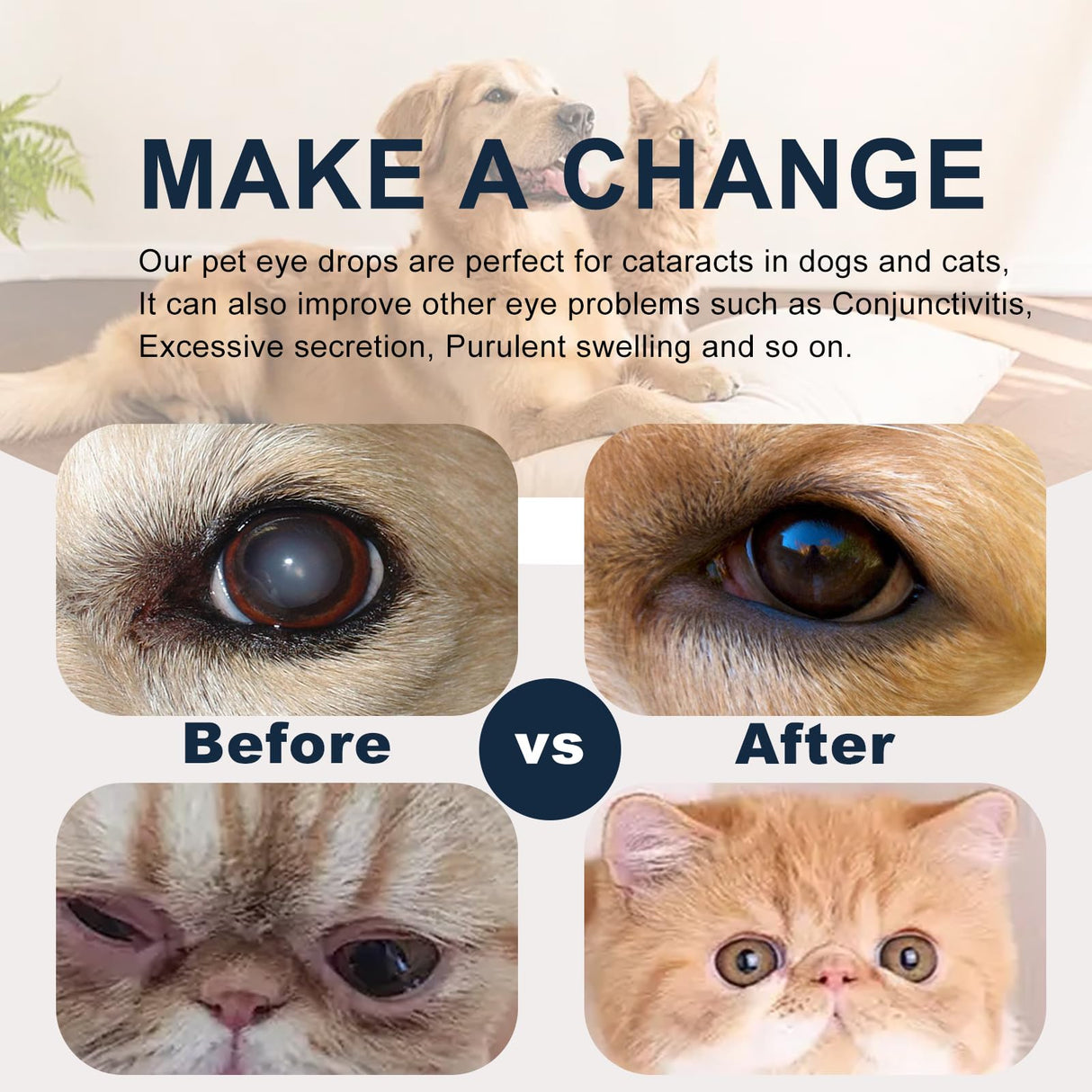 Cataract Drops for Dogs, Dog Eye Drops for Relieving Itching & Irritation, Vet Recommend Eye Drops for Dogs Eye Infection Treatment, Long-Lasting Relief for Dryness Pink Eyes Vision Clarity (2 X10ml)