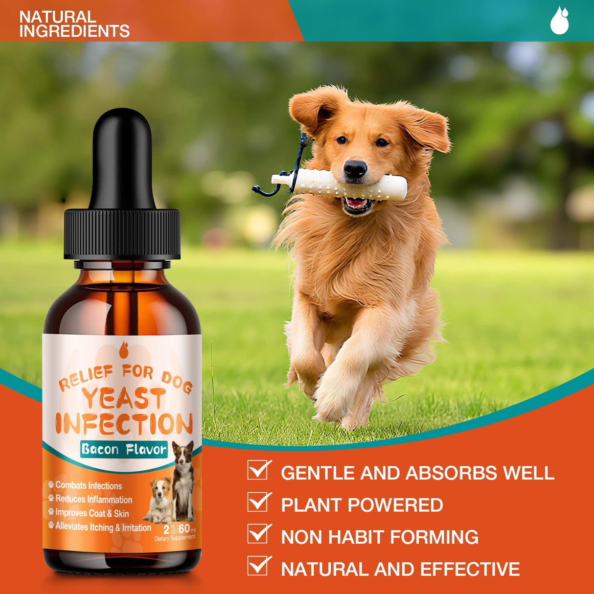Dog Yeast Infection Treatment - 60ml Yeast Infection Drops for Dogs | Dog Yeast Treatment for Ear, Paw & Skin Itch Relief, Natural Herbal Supplement