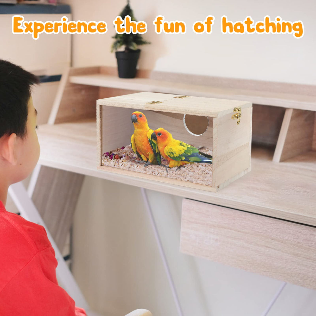 Rypet Parakeet Nesting Box Transparent Design, Thwartwise Bird Nest Breeding Box with Perch Wood Bird Cage House for Cockatiel Lovebirds Budgie Finch Parrotlets Canary M