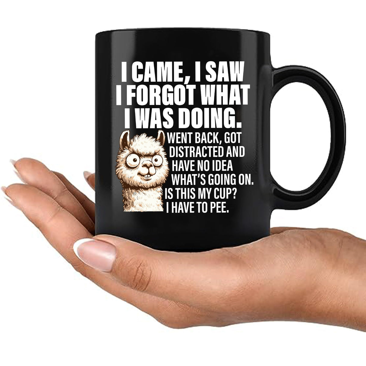 I Came I Saw I Forgat What I Was Doing Old People Elderly Gifts for Women Mom Men Grandpa Grandma 70th 80th 90th Birthday Senior Citizen Gifts for People with Dementia Ceramic Mug 11 oz Black