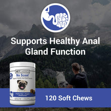 Load image into Gallery viewer, Vet Classics No Scoot Dog Supplements for Healthy Anal Gland Function – Support Normal Bowel Functions, Anal Glands – Increases Daily Fiber Intake for Dogs – 120 Soft Chews