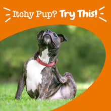 Load image into Gallery viewer, Zesty Paws Itch Relief for Dogs - Chews for Itching Skin & Coat - Omega-3 Fish Oil with EPA & DHA - Dog Allergy Relief Chews Supplement - Vitamin C & E Antioxidant Support - Chicken Flavor - 90 Count