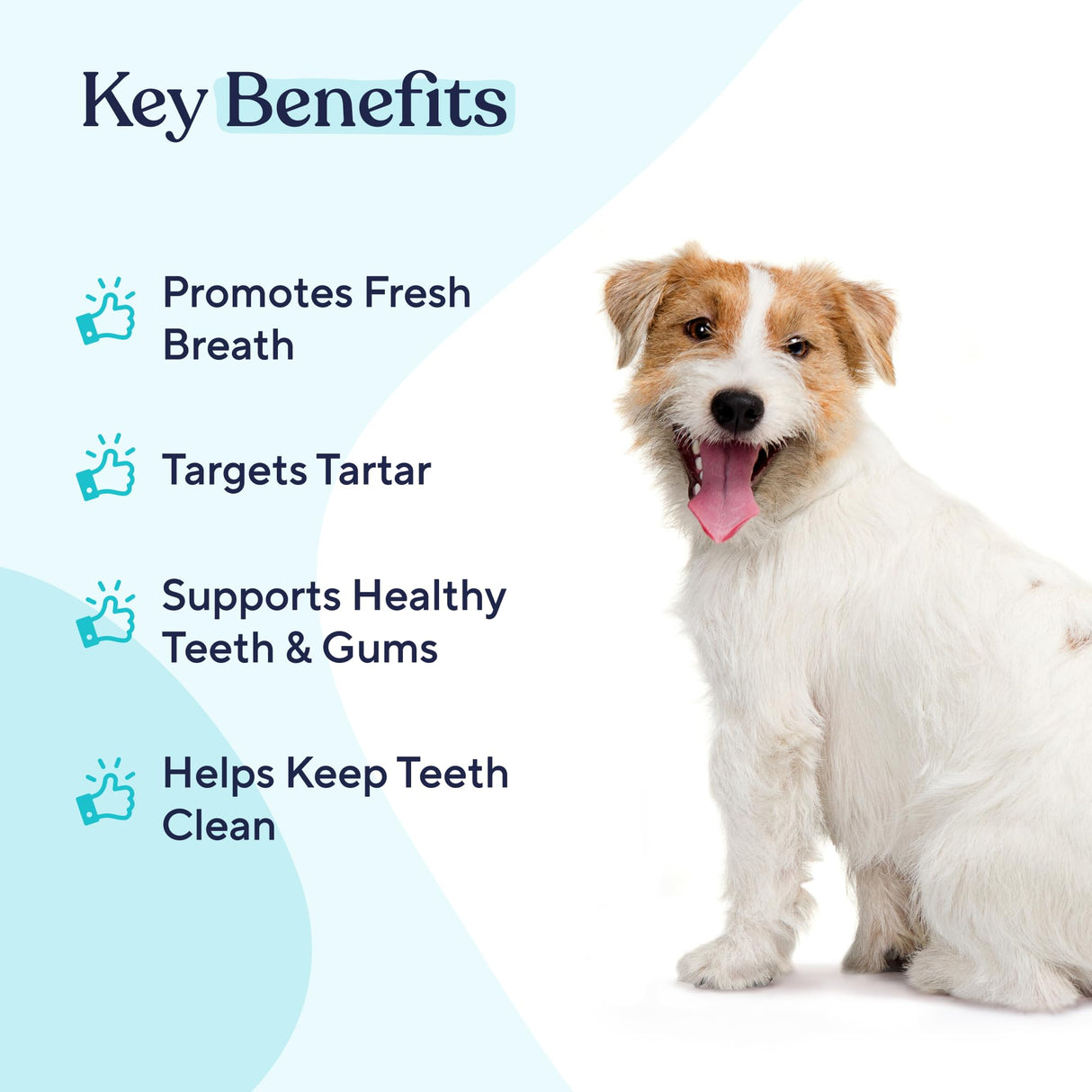 Pawfy Dog Breath Freshener with Specialized Dental Care Formula | Dog Teeth Cleaning & Mouthwash | Helps Freshen Dogs Breath with Easy Water Additive | Supports Plaque and Tartar Control