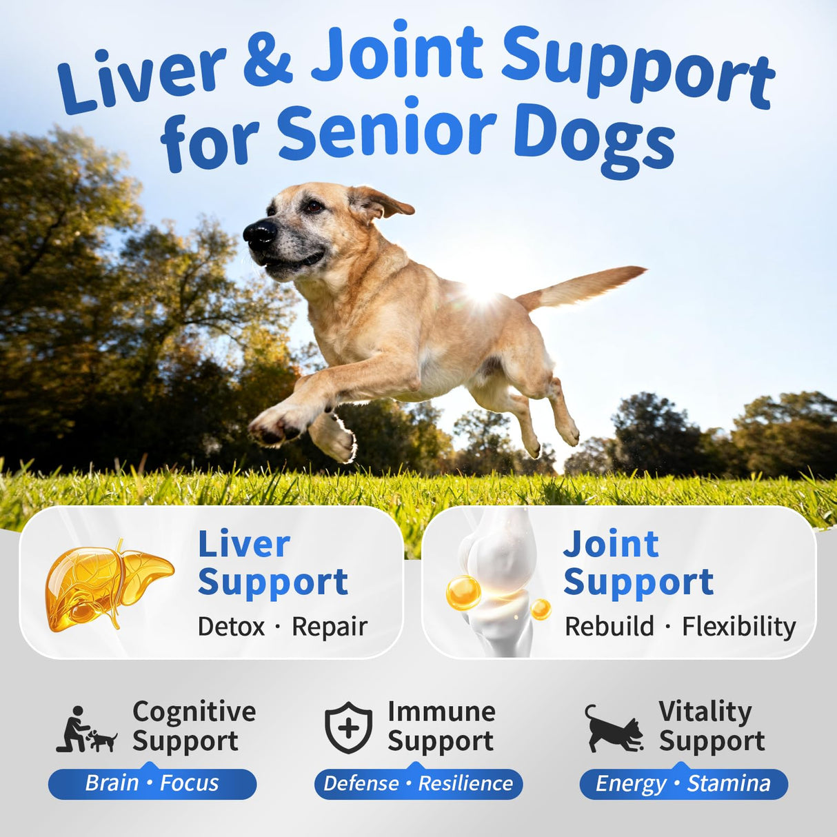 POPPAW Senior Dog Liver & Joint Supplement – Same, Milk Thistle (Silybin), Glucosamine, MSM for Liver Health Detox, Mobility, Joint Pain Relief, Cognitive & Vitality Support, Chicken Flavor, 90Ct