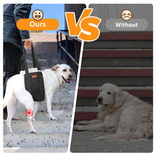Load image into Gallery viewer, Adjustable Dog Lift Harness Dog Sling for Large Dogs Hind Leg Support Soft Lift Support and Rehab Harness for Weak Rear Legs, Helps Senior, Injured, Disabled and After ACL Surgery Dogs Large