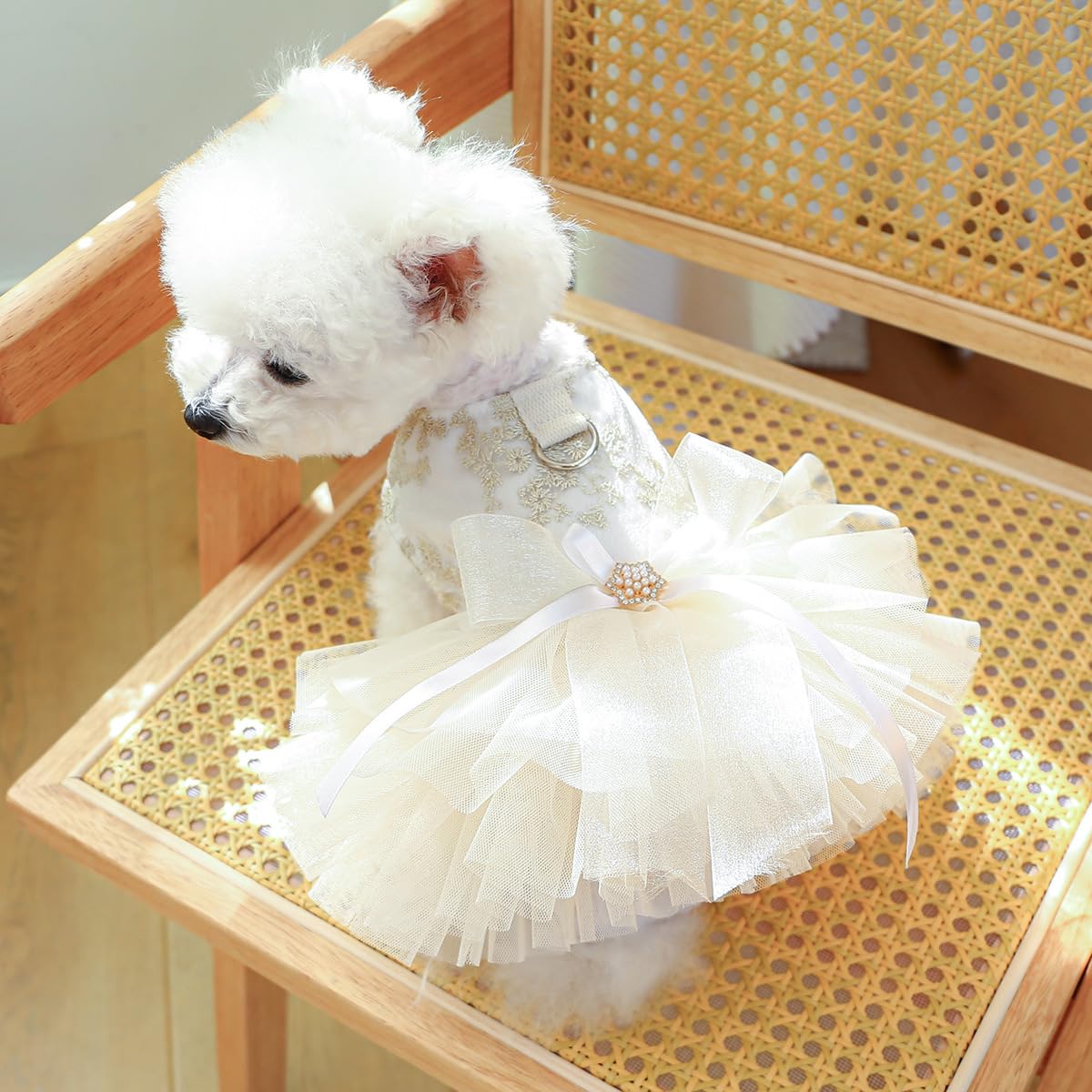 Small Dog Clothes for Puppy Dresses Pet Clothe Tutu Dress for Girls Puppy Clothes for Medium Dog Outfits M