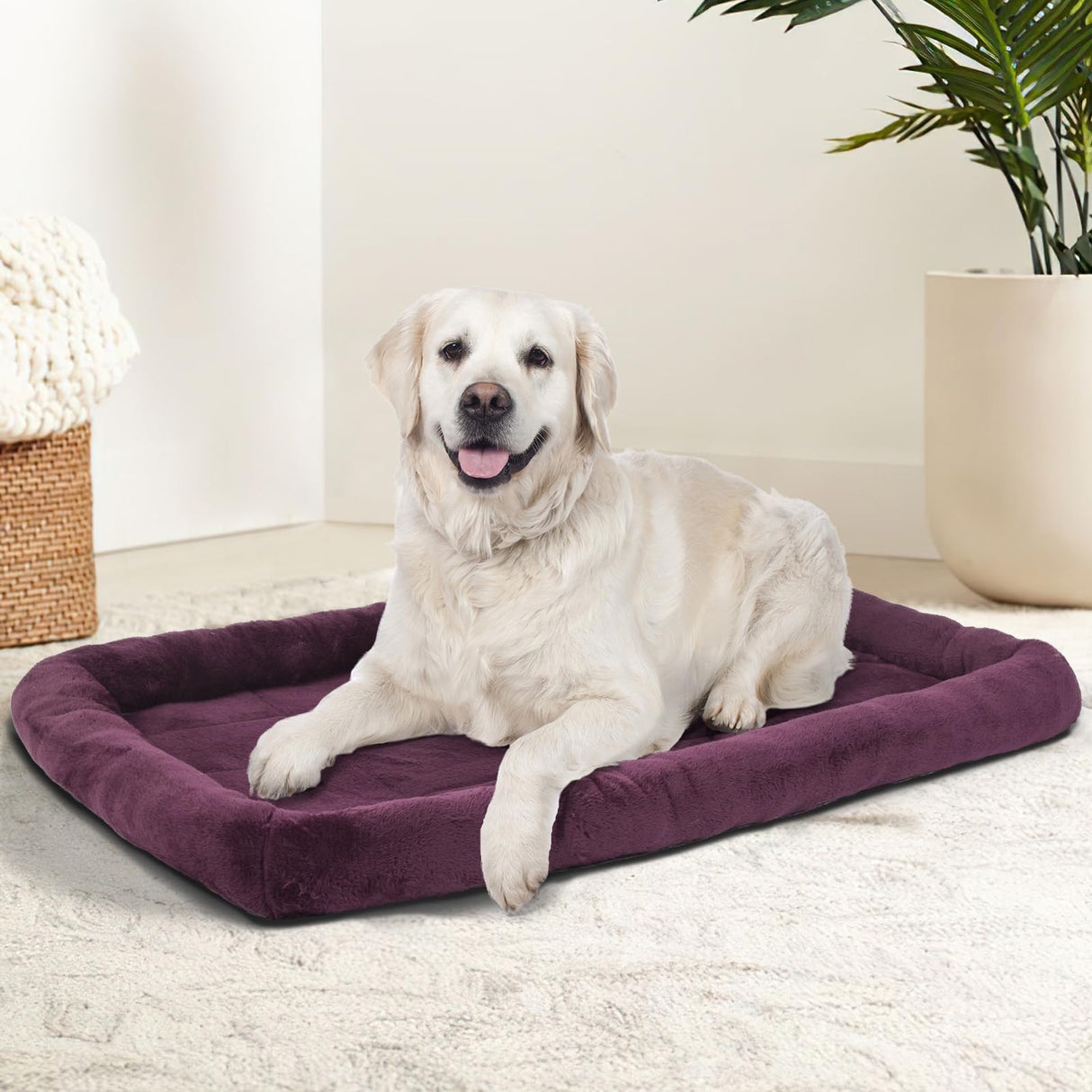 Patas Lague Bolster Dog Bed for Small Dogs 24''x18'', Soft Warm Foam Pet Sofa Bed, Machine Washable Pet Cat Crate Mat for Small Breeds, Taupe