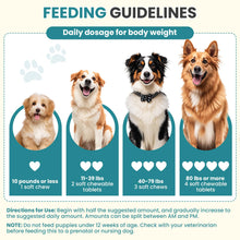 Load image into Gallery viewer, Probiotics for Dogs Gut Digestive Health Probiotic Chew for Dogs Digestive Enzymes Relieve Diarrhea Immunity Oral Problems Itching Constipation Prebiotics Dog Probiotics 200 Tablets Chicken Flavor