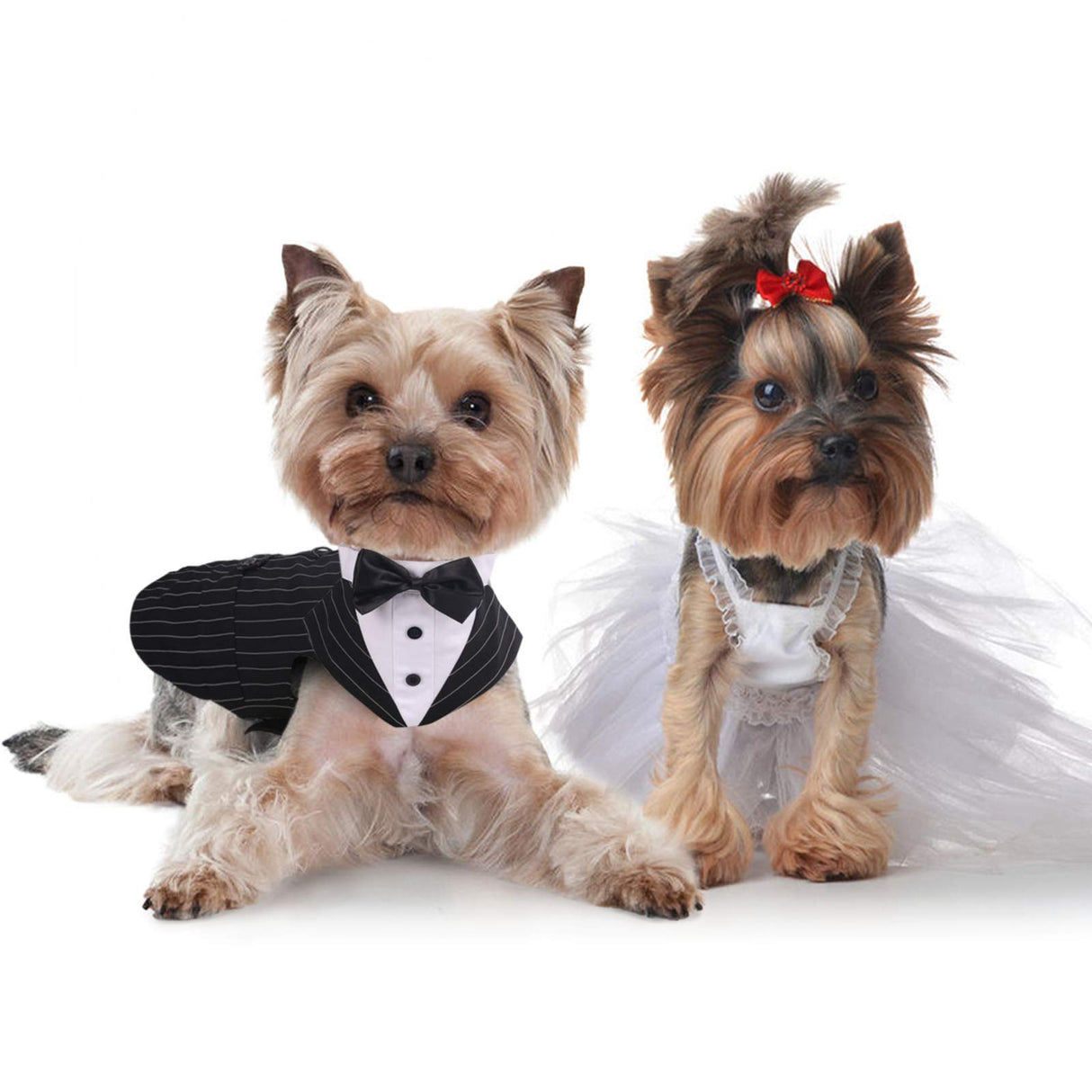 IDOMIK Dog Tuxedo for Small Medium Large Doggie, Detachable Dog Formal Wedding Suit with Tuxedo Vest & Bow Ties Collar & Bandana Scarf Set, Wedding Attire Shirt for Birthday Party Costume