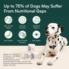 Load image into Gallery viewer, Wuffes 23-in-1 Dog Multivitamin Supplement for Hip & Joint, Skin & Coat and Immune System Support with Omega 3, Iron, Zinc, Vitamin C - Minerals & Vitamins for Senior Dogs and Puppies - 30 Soft Chews