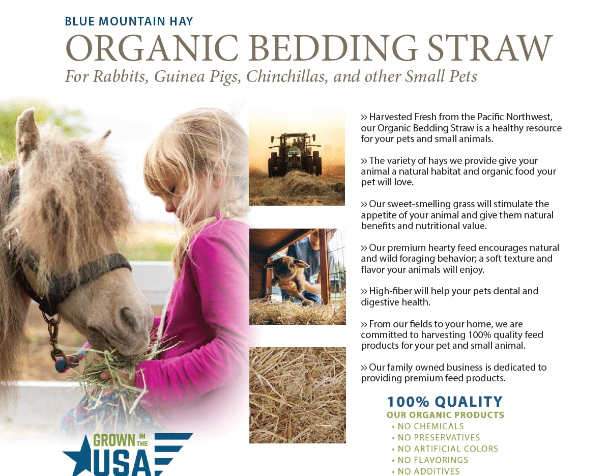 Blue Mountain Hay Organic Bedding Straw (5 lb) – USDA Certified Organic, Non-GMO, Chemical Free, Soft & Highly Absorbent Natural Bedding for Pet Habitats, Gardening, Composting & DIY Projects
