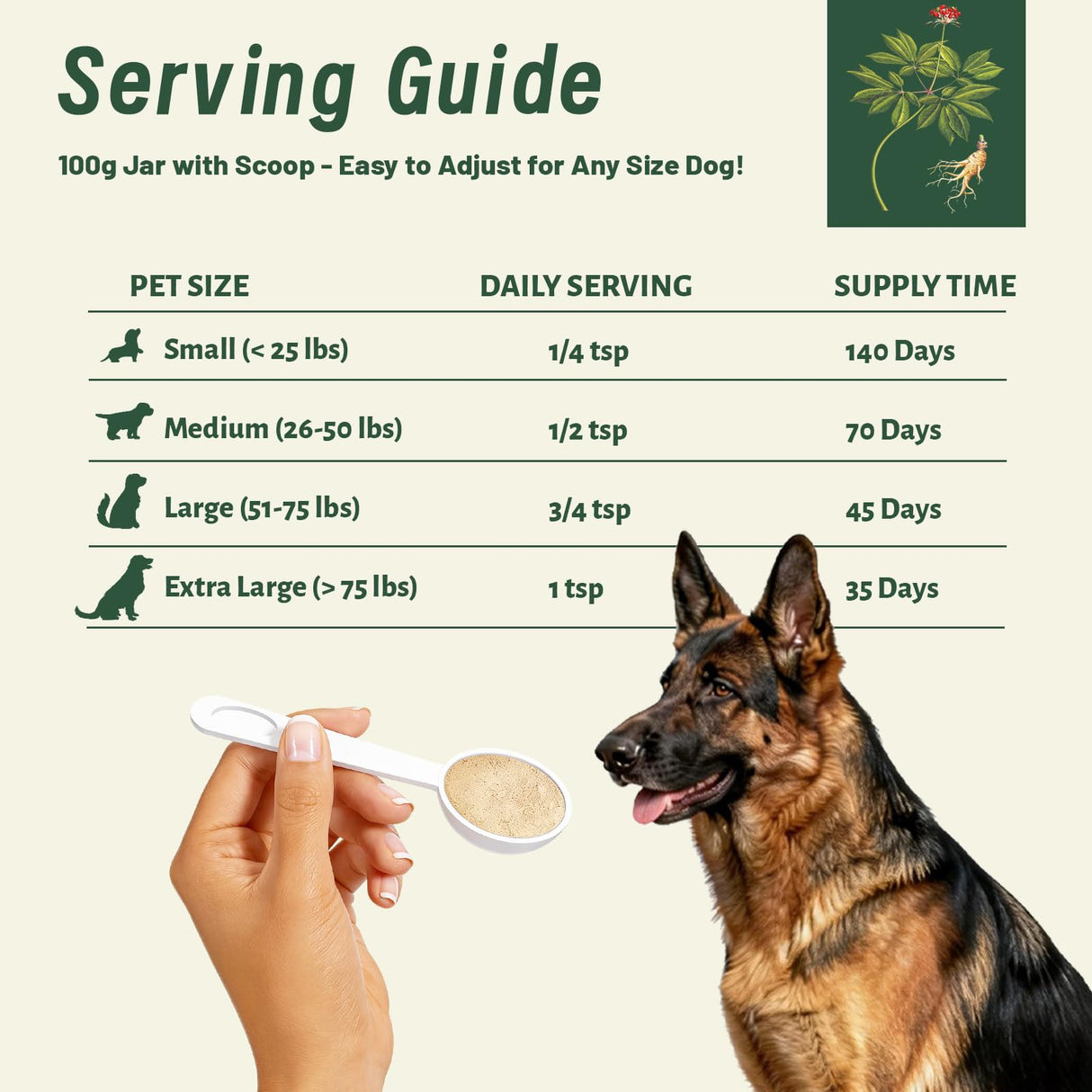 Quick Stop Bleeding for Dogs, Natural Herbal yunnan Sanqi Powder for Hemangiosarcoma, Hemoabdomen, Pericardial Effusion, Cancer Bleeding, Severe Bruising, Ulcer-Related Bleeding, Bloody Stools - 100g