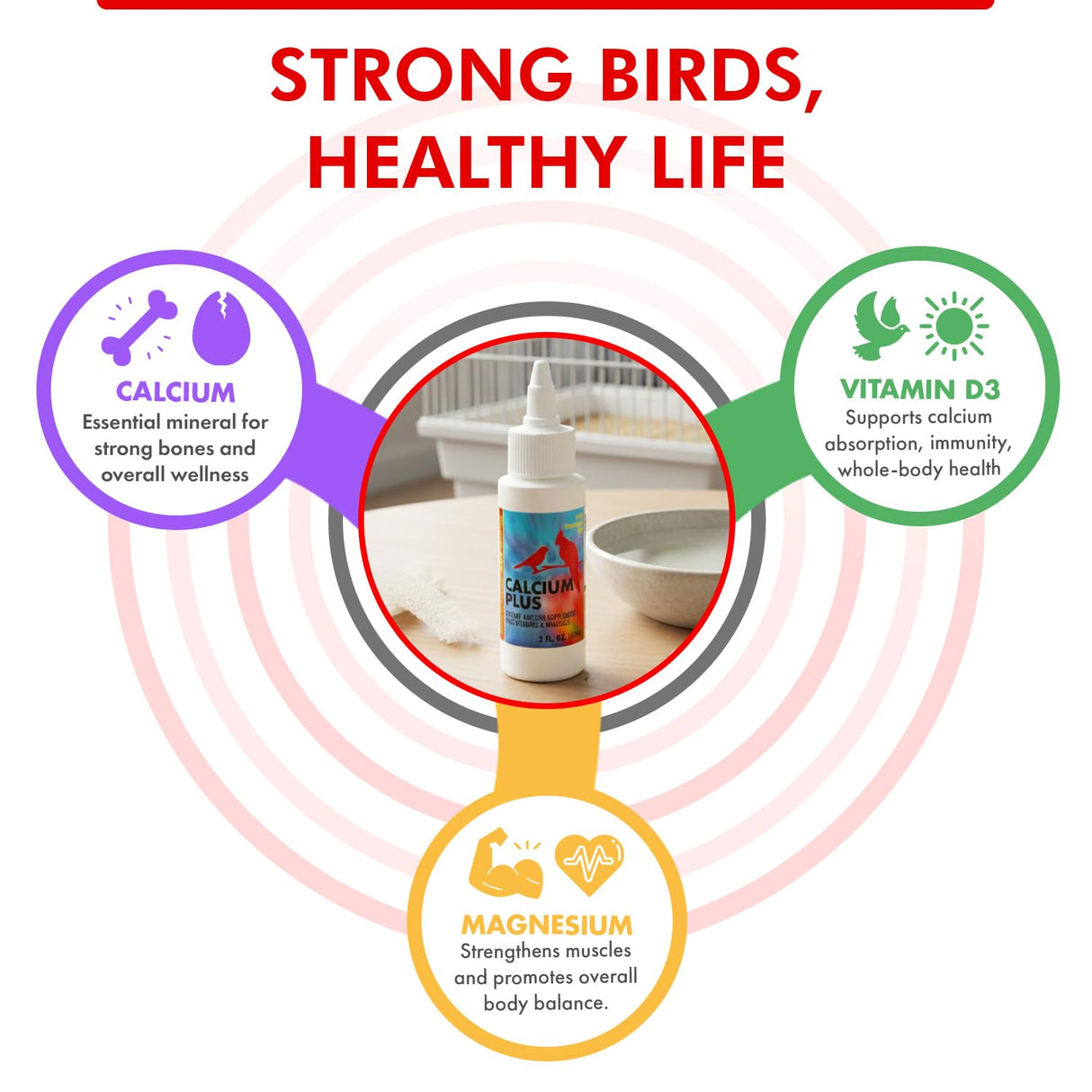 Morning Bird Calcium Plus Liquid for Birds – Bird Vitamins for Strong Eggshells, Healthy Bones, and Baby Bird to Support Growth, Breeding, and Wellness for All Birds 2 Fl Oz