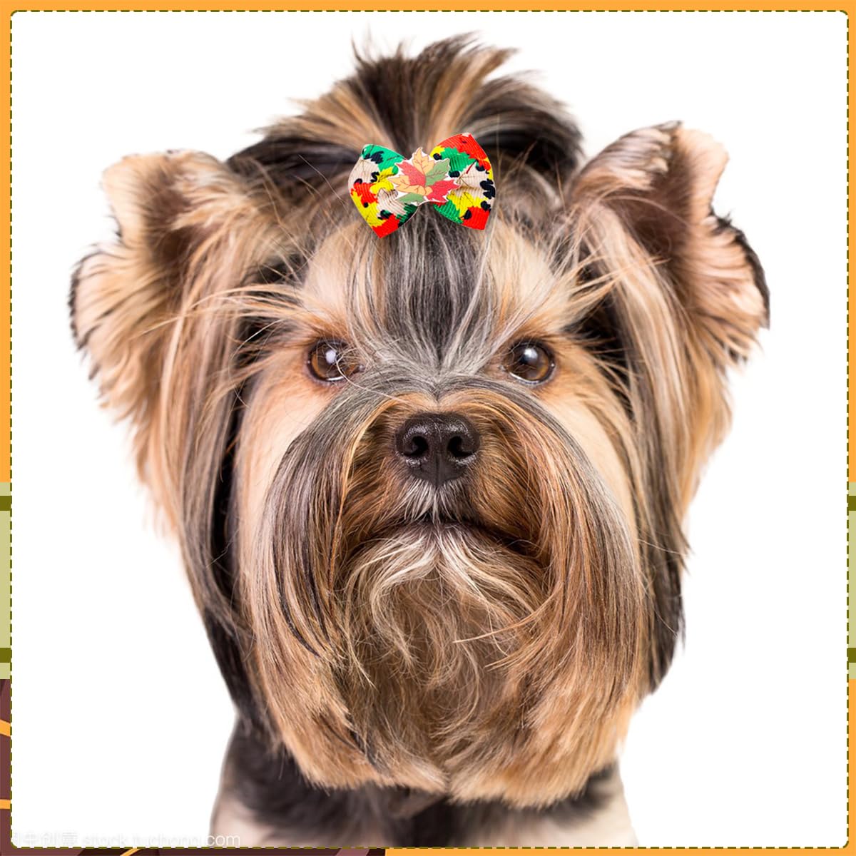 JpGdn 50pcs/25pairs Fall Thanksgiving Dog Hair Bows with Rubber Band Bulk Autumn Fall Topknot Bowknot for Puppy Doggy Cat Yorkies Small Medium Boy Girl Animals Grooming Accessories