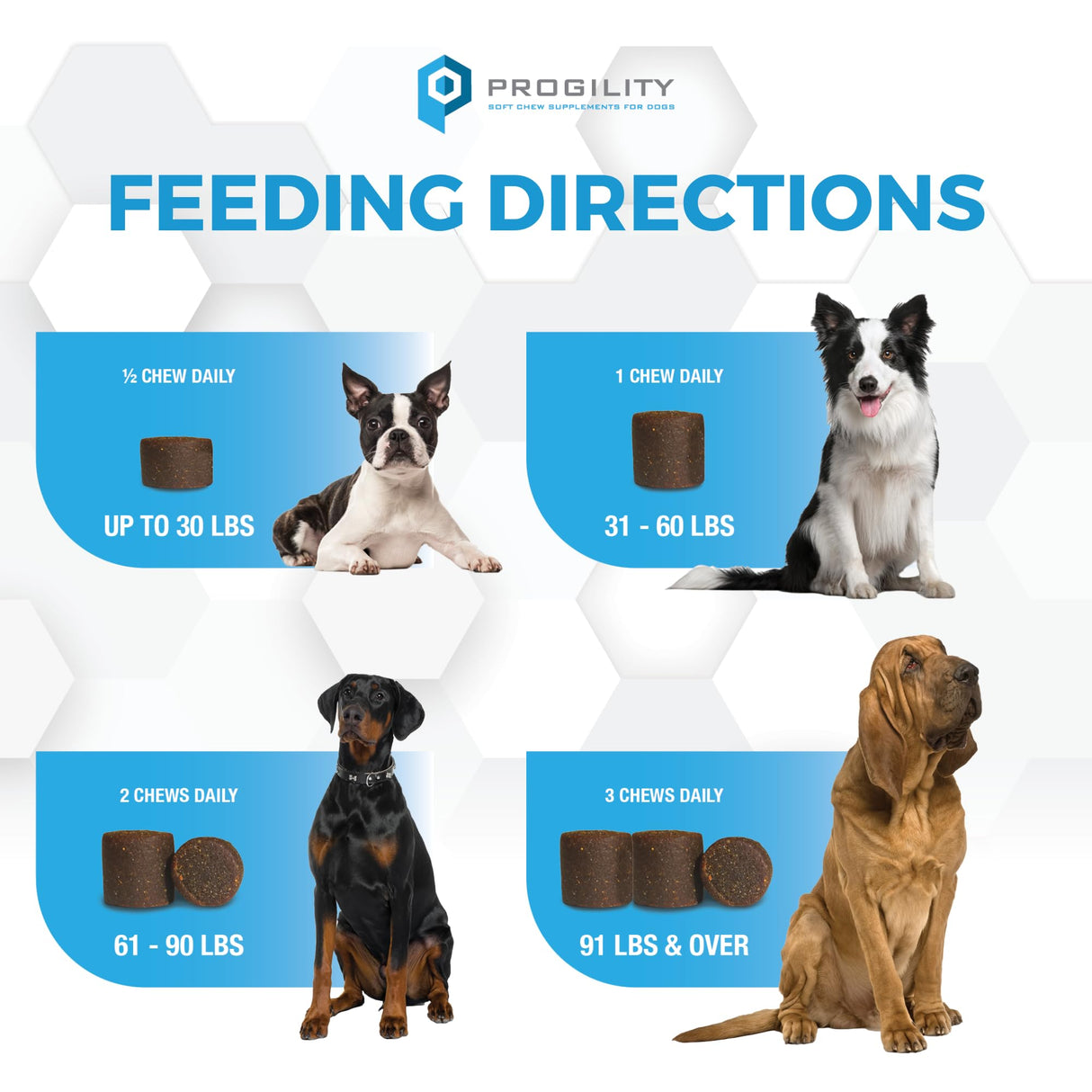 Nootie Progility Skin & Coat Supplement for Dogs, Fish Oil Supports Healthy Skin & Coat, 90 Soft Chews per Container