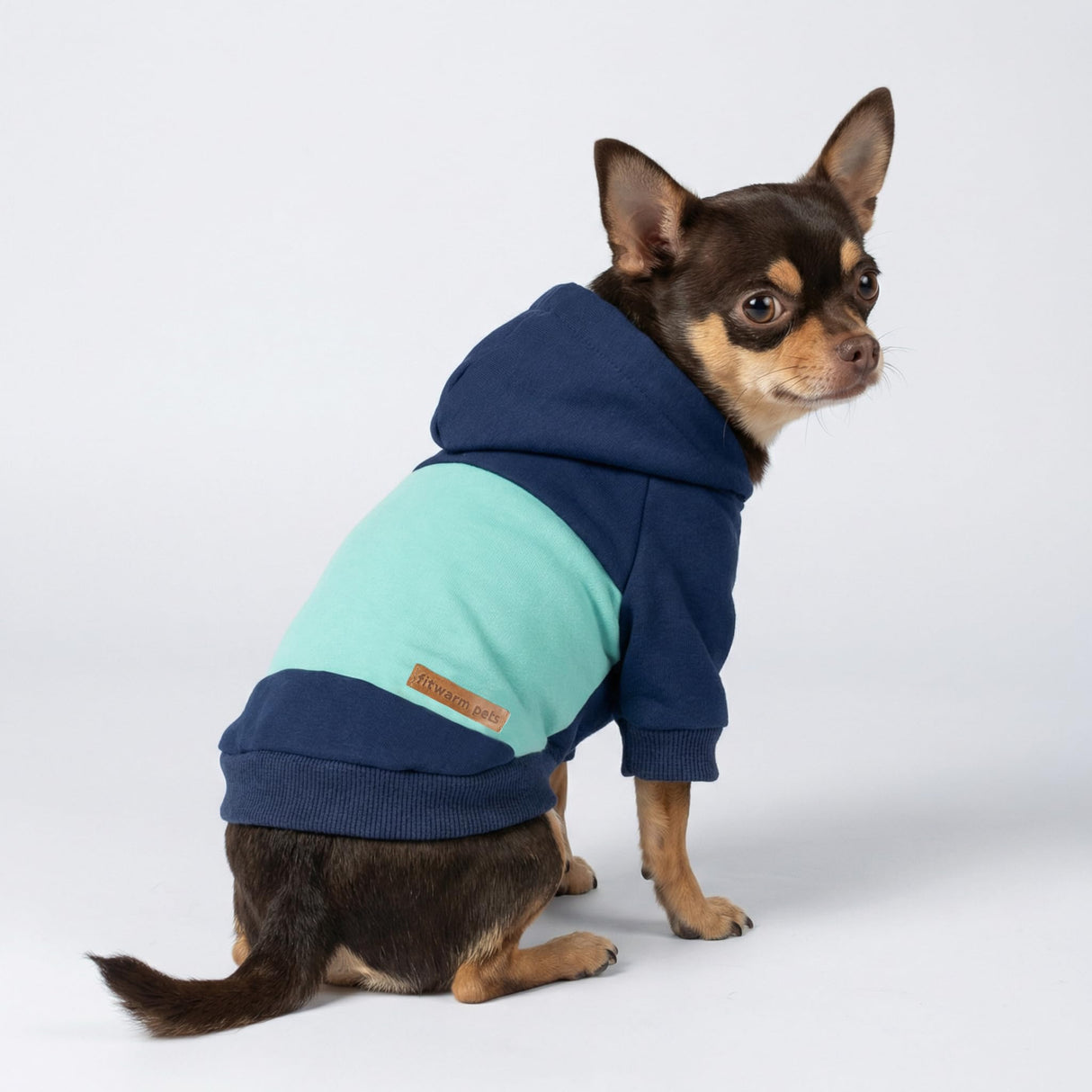 Fitwarm Color Block Dog Hoodie, Doggy Winter Clothes for Small Dogs Boy, Dog Sweatshirt with Hood, Lightweight Pet Hoodie, Royal Blue, Light Blue, Large