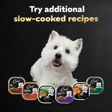 Load image into Gallery viewer, Cesar Wet Dog Food Steak Lovers Variety Pack, Adult, Wet Food for Dogs with Real Meat, 3.5 oz Easy Peel Trays, 36 Count