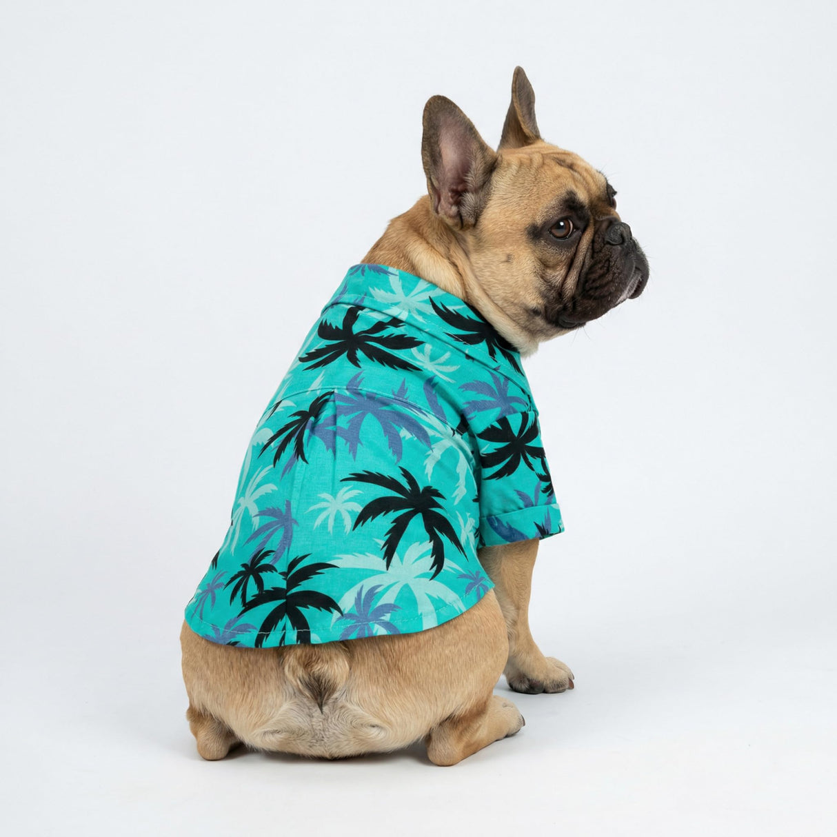 Fitwarm Hawaiian Coconut Palm Dog Shirt, Tropical Summer Clothes for Small Dogs Boy, Pet Collared Outfit, Light Sea Green, Black, XS