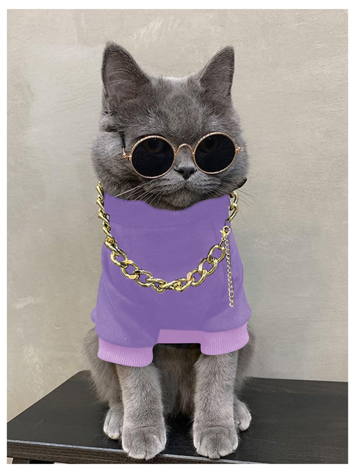 QWINEE 3Pcs Dog Hoodie Cat Apparel Dog Custume Set with Necklace and Sunglasses Pet Clothes for Puppy Small Medium Dogs Cats Mauve Purple Small