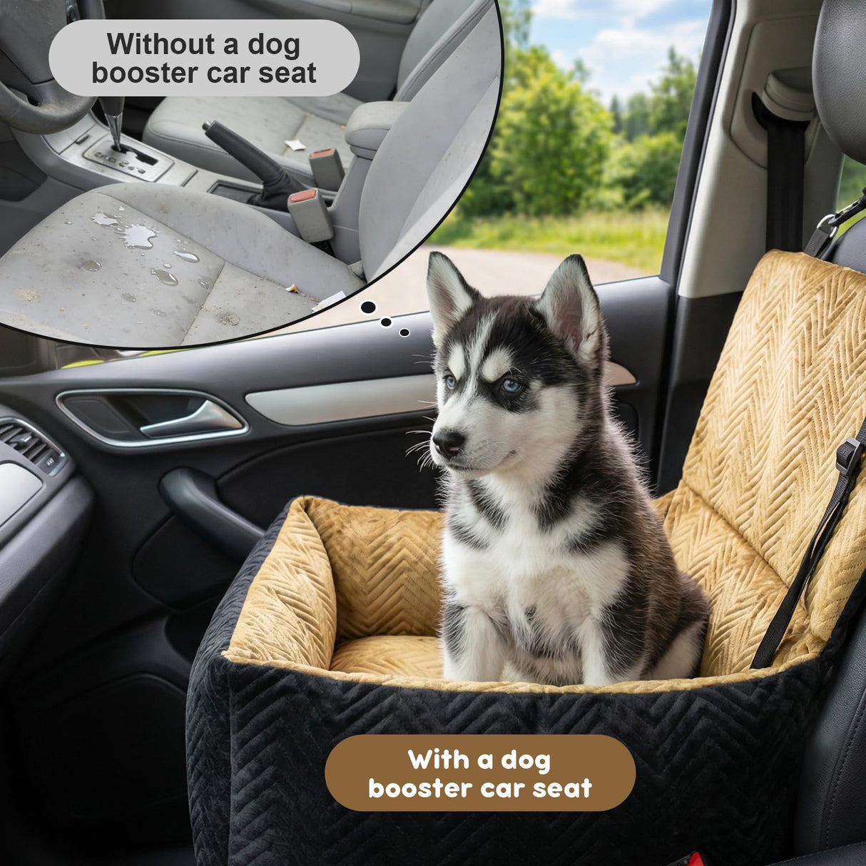 RUONARIER Dog Car Seat for Small Dogs,Medium Dog Car Bed with Detachable Washable Cover,Pet Puppy Booster Cars Seats with Safety Belt Up to 30 lbs(Black V)