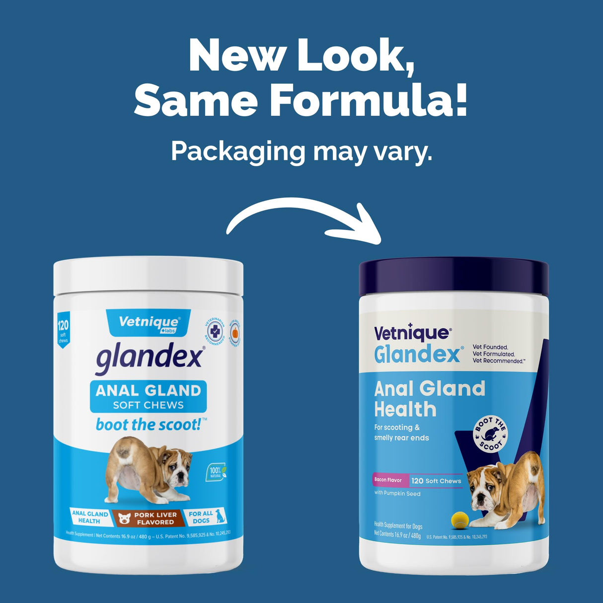 Vetnique Glandex Anal Gland Soft Chew Treats with Pumpkin for Dogs Digestive Enzymes, Probiotics Fiber Supplement for Dogs Boot The Scoot (Bacon Flavor Chews, 120 Count)
