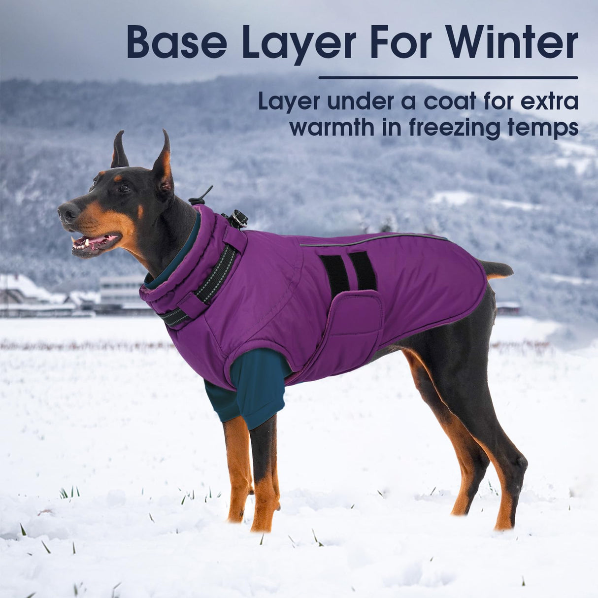 IECOii 2 Pack XXXXL Dog Fleece Sweater for Giant Breed Dogs, Warm Dog Turtleneck with Stretch for Great Dane Sweater, Fall Winter Pullover Dogs Sweatshirt with Sleeve,Outdoor Sweaters for Walking, 4XL