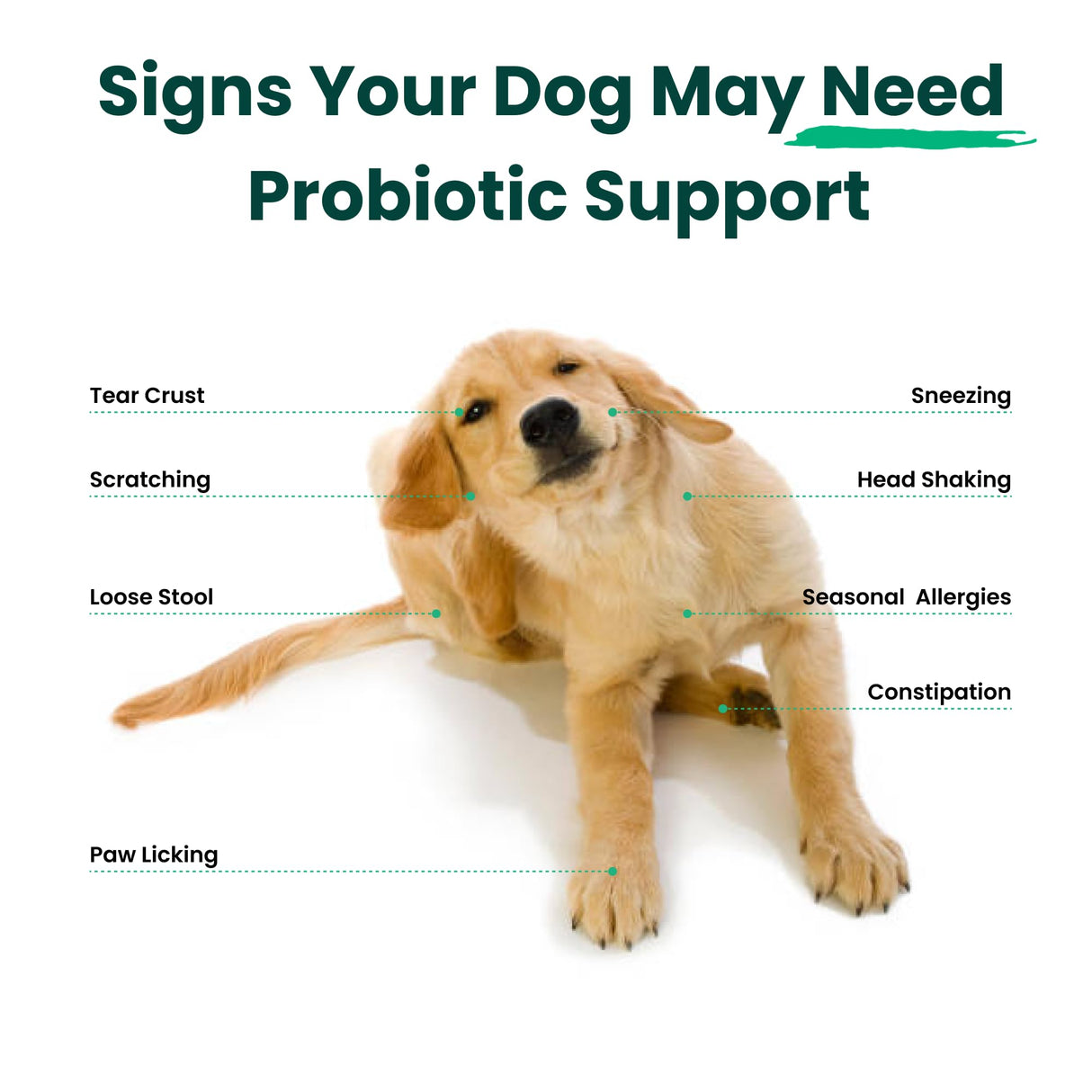 Paw Balance Dog Probiotic and Multivitamin Chews
