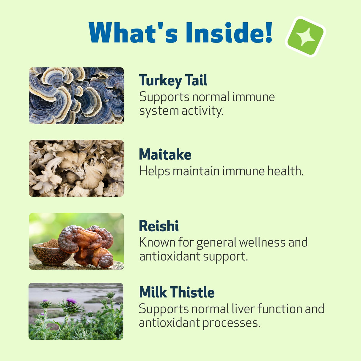 Pet Wellbeing Mushroom Immune Gold for Dogs - Complementary Immune Support with Functional Mushrooms Reishi, Maitake & Turkey Tail - NASC Certified & Vet-Formulated - 8 oz Liquid Formula