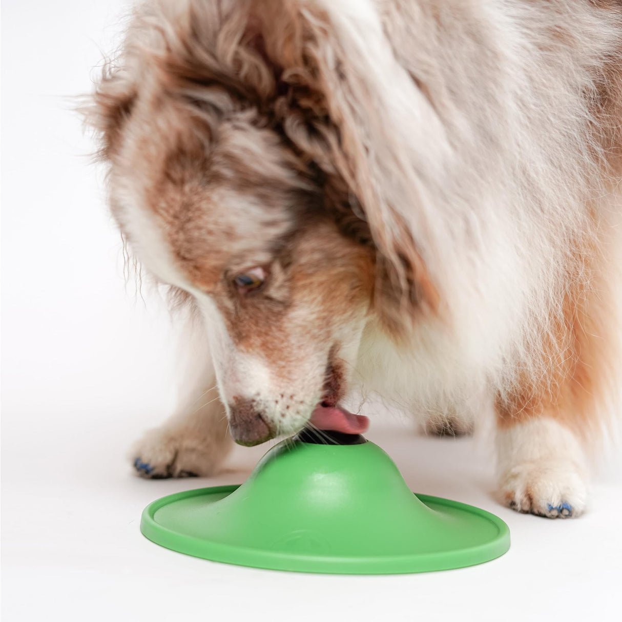 Stashios: Soothing Saucer - Dogs Slow-Licking Device, Rolling Ball Dispenses Liquid, Pet Calming Activity, Fill W/Liquid Treats-Broth-Soothing Sauce