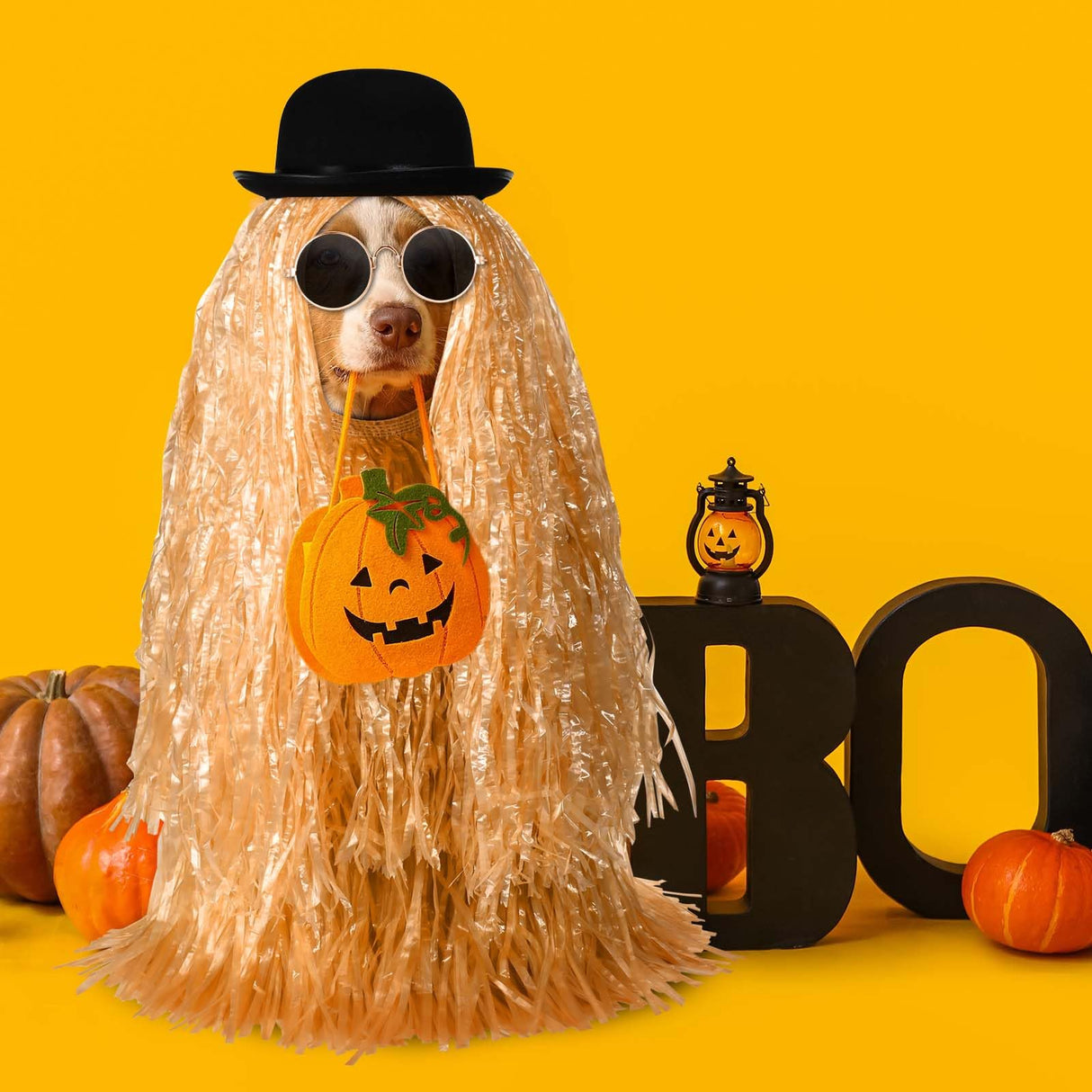 JcHrmers 4 Pcs Pet Halloween Costume Include Derby Hat,Luau Hula Skirts and Round Sunglasses for Halloween Funny Dog Pet Costume Cosplay