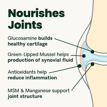 Load image into Gallery viewer, VetriScience Extra Strength Healthy Hip & Joint Chews, GlycoFlex 3, Glucosamine, Green-Lipped Mussel, Joint Support Supplement for Dogs, Promote Mobility & Soothe Joint Discomfort, Chicken, 120 Count