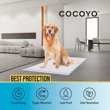 Load image into Gallery viewer, COCOYO Training Pads, 30"X36", 40 Count, XXL