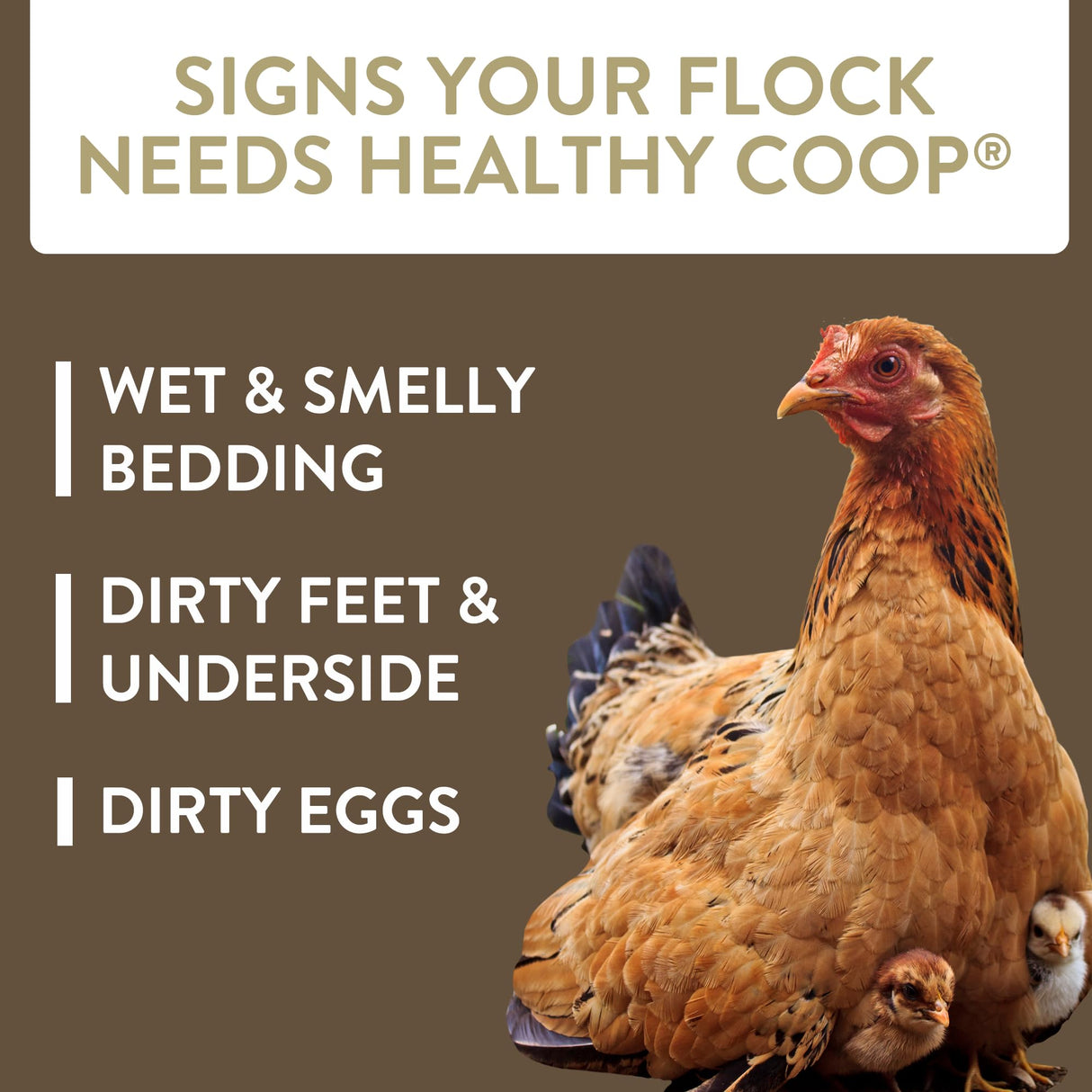 FLOCKLEADER Healthy Coop, Litter Additive for Chicken Coop with Probiotic & Acidifier, Reduces Odor, Wetness & Bacteria, 6lbs