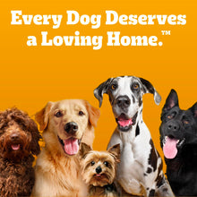 Load image into Gallery viewer, Pedigree Dentastix Small and Toy Breed Dog Treats, Original, Beef & Fresh Flavor, 2.36 lb. Variety Pack (157 Treats)