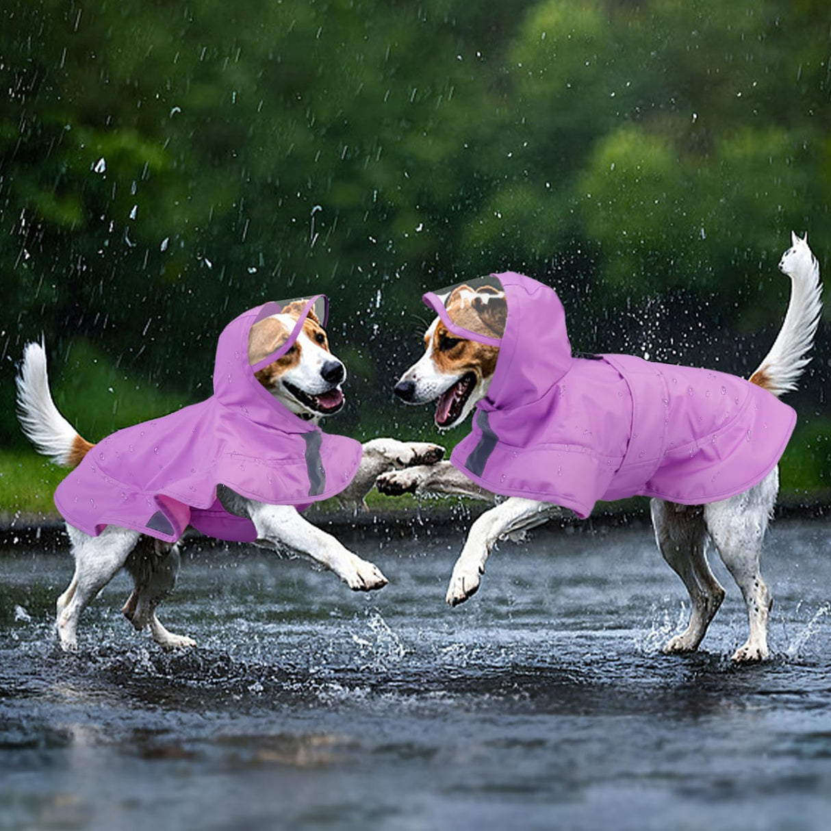 Kuoser Dog Raincoat, Waterproof Dog Rain Jacket with Clear Hooded Double Layer, Lightweight Reflective Dogs Rain Coat with Adjustable Belly Strap, Rain Coats for Medium Dogs Outdoor Wear, Pink M