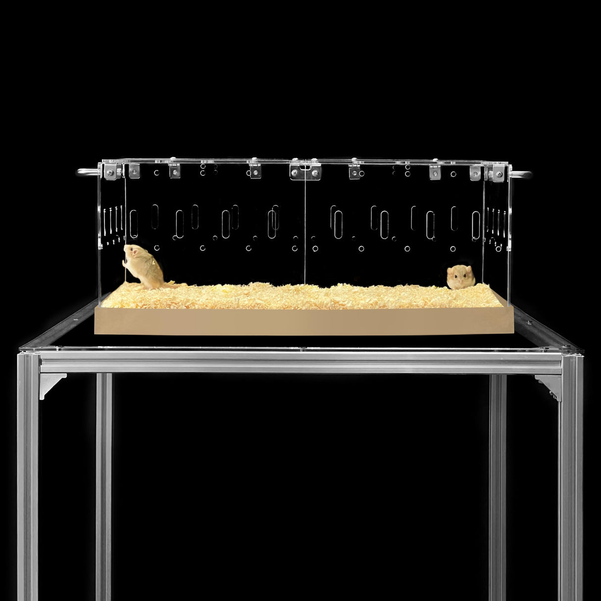 GuineaLoft™ Acrylic Cage (Model-P3) - Small 2x1 ft Enclosed w/Lid & Bottom for Hamsters, Rats, Mice, Gerbils, Also Works for a Single Guinea Pig, or as a Transport Cage