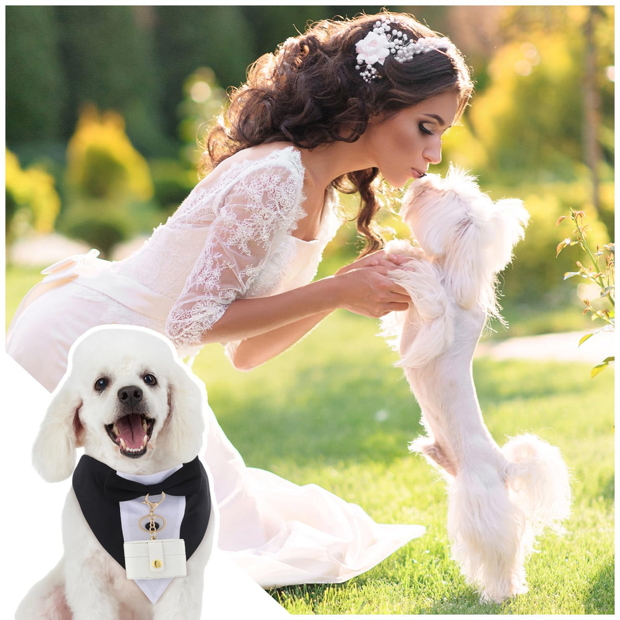 Locmeo 3 Pcs Dog Wedding Collar Outfit Include Dog Tuxedo Attire Wedding Ring Bearer Ring Holder Pouch Box Adjustable Pet Neck Bow Tie with Leash