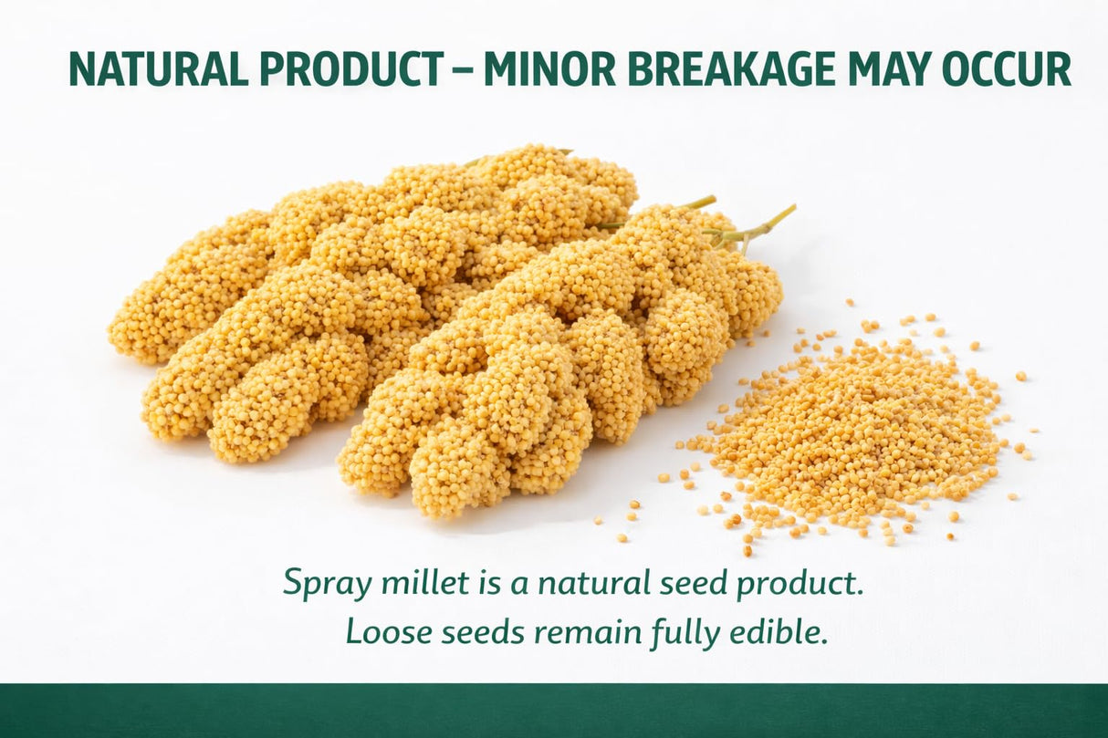 5lbs Wholesome Spray Millet for Birds β USA Grown, Harvested & Packed β 100% Natural Sun-Dried Millet Clusters β for Parakeets, Cockatiels, Conures, Budgies, Finches & All Parrots