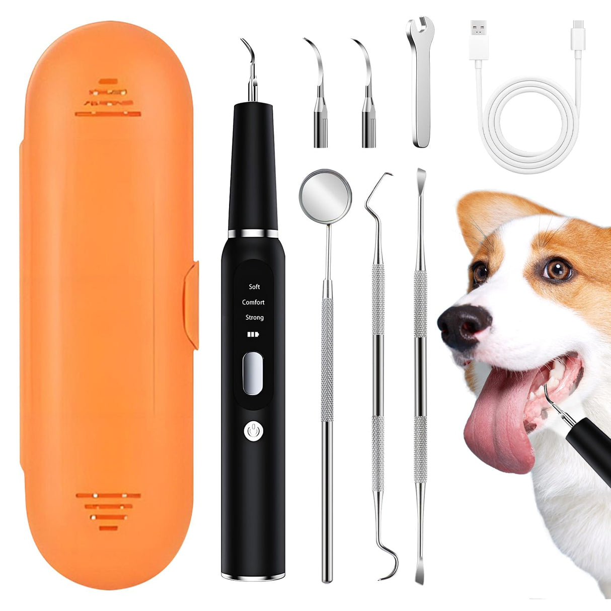 LGGbaodan Dog Plaque and Tartar Remover&Tartar Remover for Pet Teeth, Dog Teeth Cleaning Kit with LED Light and Storage Box, Pet Dental Care, Black.