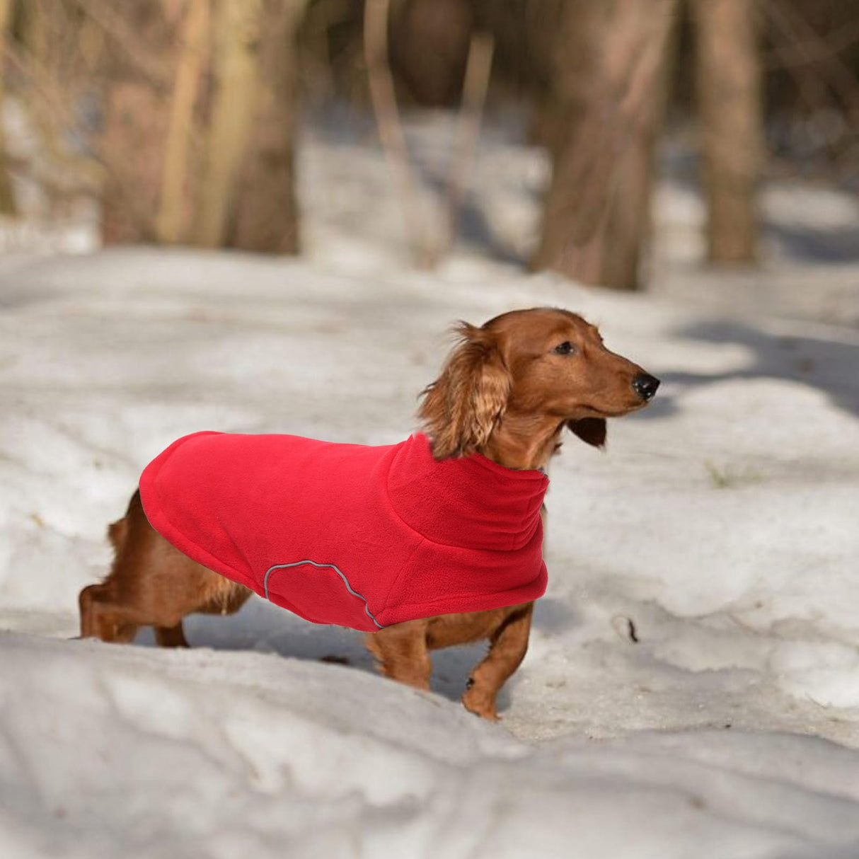 Brabtod Dog Fleece,Soft Dachshund Sweater,Cozy Pet Dog Vest Pullover Jacket with Leash Hole,Miniature Dachshund Clothes for Cold Weather(Red,Medium)