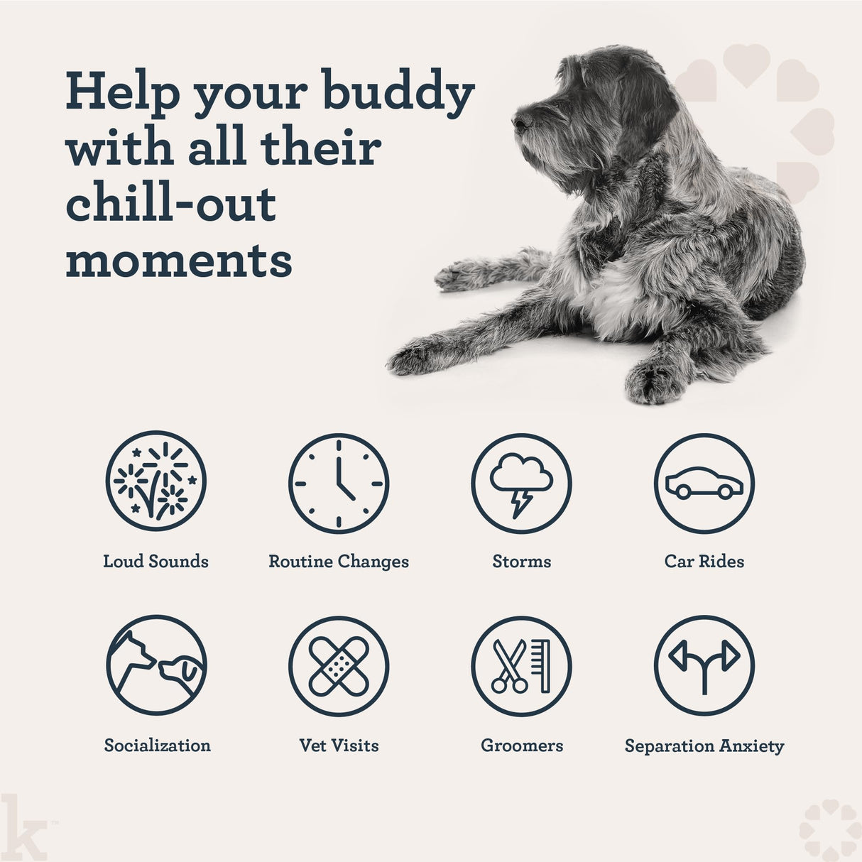 Kradle Bliss Bars for Dogs - Peanut Butter Flavored Calming - GABA L-Theanine - On The Go Packaging - Supports a Calm Demeanor - 6 Bars