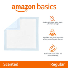 Load image into Gallery viewer, Amazon Basics Scented Dog and Puppy Pee Pads, 5-Layer Leak-Proof Super Absorbent, Quick-Dry Surface, Potty Training, Regular (22x22"), 150 Count, Blue