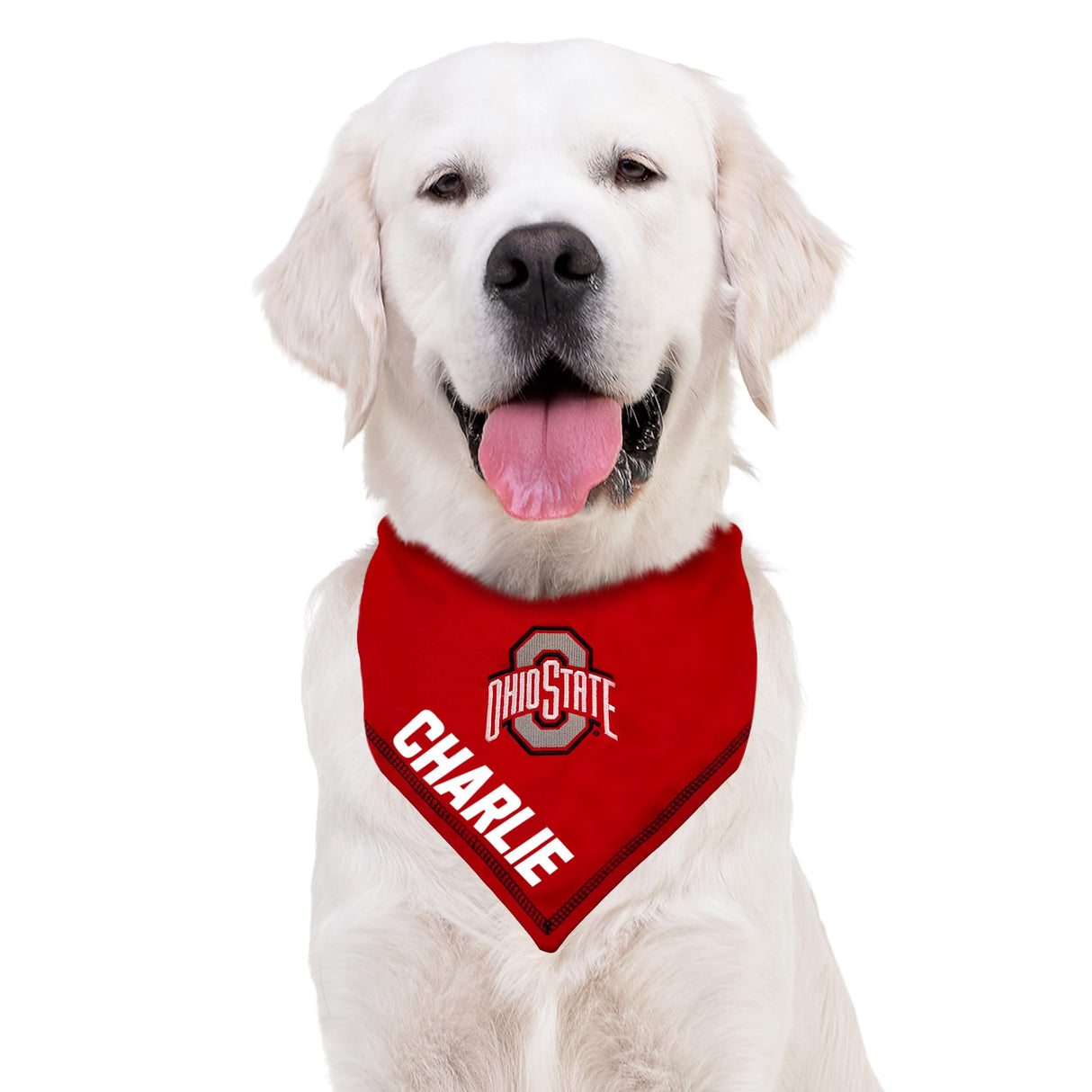 Pets First NCAA Ohio State Buckeyes Personalized Tie Bandana for Dogs & Cats, Size Large/X-Large. Custom Dog Bandana Scarf Bib for Pet Cat Dog. The Ultimate Game-Day & Party Customizable Bandana