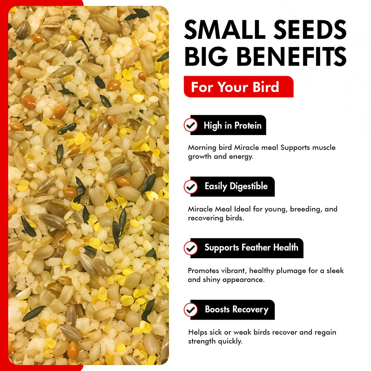 Morning Bird Miracle Meal 1.5 lbs – Soft Food for Birds with Vitamins & Supplements – Packed with Protein, Minerals & Amino Energy – Promotes Strong Feathers, Breeding & Overall Wellness