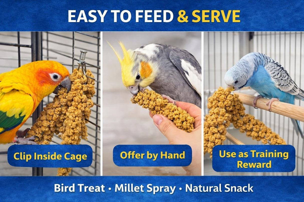 5lbs Wholesome Spray Millet for Birds β USA Grown, Harvested & Packed β 100% Natural Sun-Dried Millet Clusters β for Parakeets, Cockatiels, Conures, Budgies, Finches & All Parrots